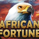African Fortune